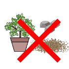 土・石・植物の画像